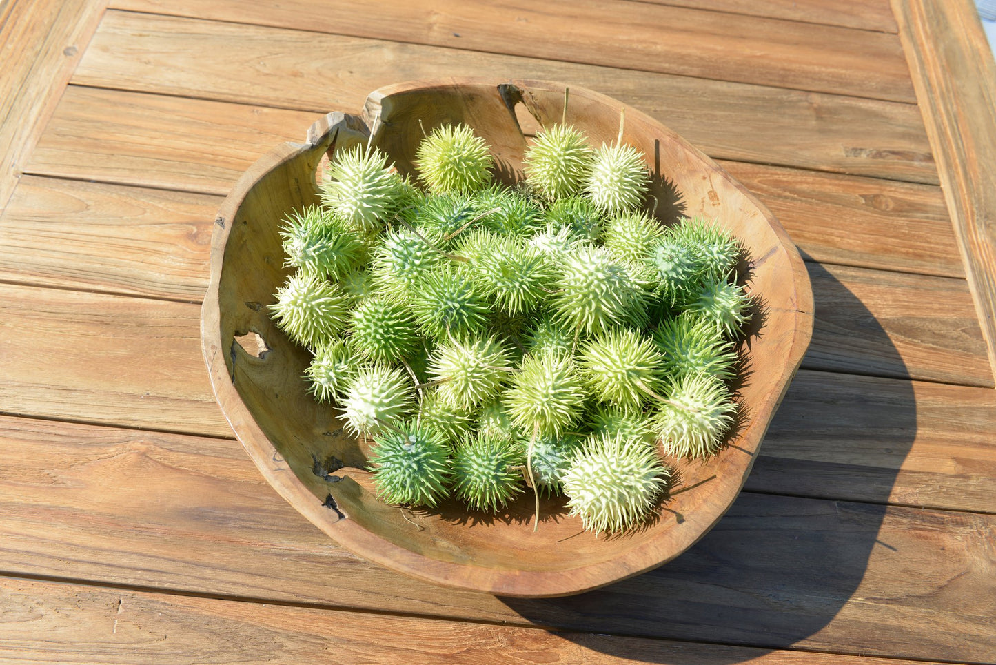 Tess vege bowl Ø20x10cm - teak - Max & Luuk