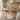 Blend dining table top - varnished oak - round - 90x90x2 - Ethnicraft - Design-Master