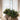 Square Coffee Table Archie - vierkante salontafel L75xL75xH32cm Original Aged Patine - Gommaire