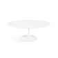 Saarinen Tulip - Ovalen Tafel - 198cm Lang - Outdoor - Knoll