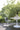 Saarinen Tulip - Ronde Tafel Ø120cm - Acrylic stone top - Outdoor - Knoll
