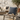 Zahara outdoor cushion - Blue - square - Ethnicraft - Design-Master