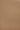 Bok dining chair - varnished oak - Sienna leather - 50x54x76 - Ethnicraft - Design-Master