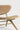 Eye lounge chair - varnished oak - Sienna leather - upholstered backrest + seat - 74x77x73 - Ethnicraft - Design-Master