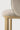 Unda dining chair - varnished oak - Salt fabric - 61x58x81 - Ethnicraft - Design-Master