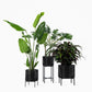 Ivo Plant Stands - Dia 29-40Cm - Hoogte 36-45-65Cm - Black - Vincent Sheppard